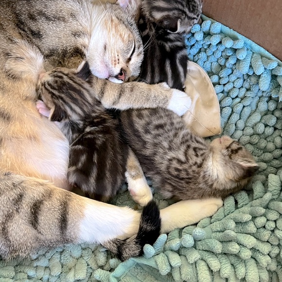 😍See something you must have? - Picture 6 of 16